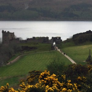 a close up of a hillside next to a body of water with Urquhart Castle in the background