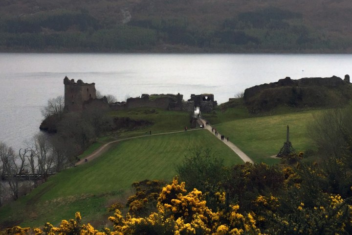 a close up of a hillside next to a body of water with Urquhart Castle in the background